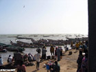 Fishing boats back to M'Bour, Senegal